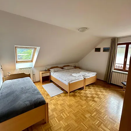 Nastanitev v družini And Tajcr Bovec