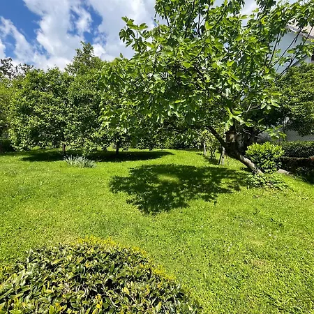 And Tajcr Nastanitev v družini