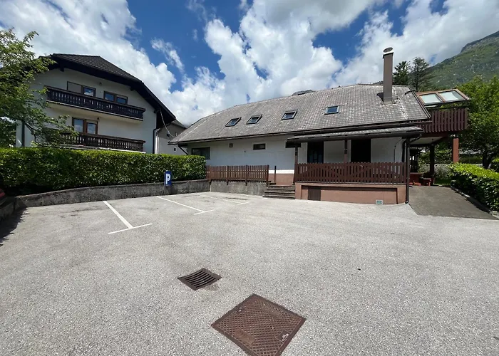 And Tajcr * 博维茨