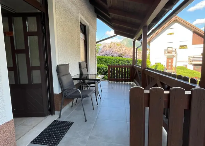 And Tajcr * 博维茨